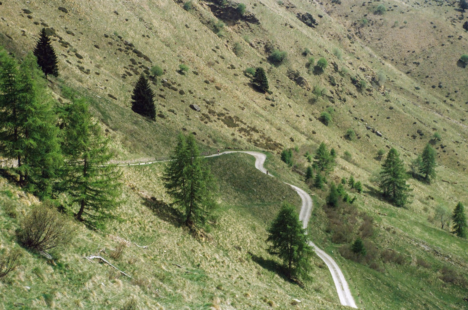 Ponte di Legno 2
