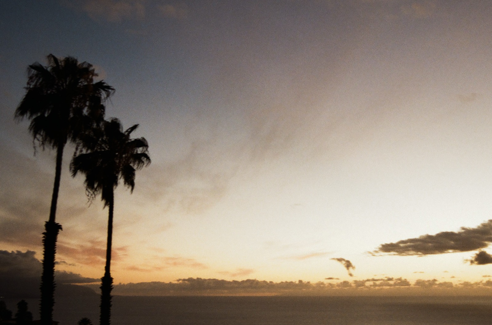 Tenerife 6